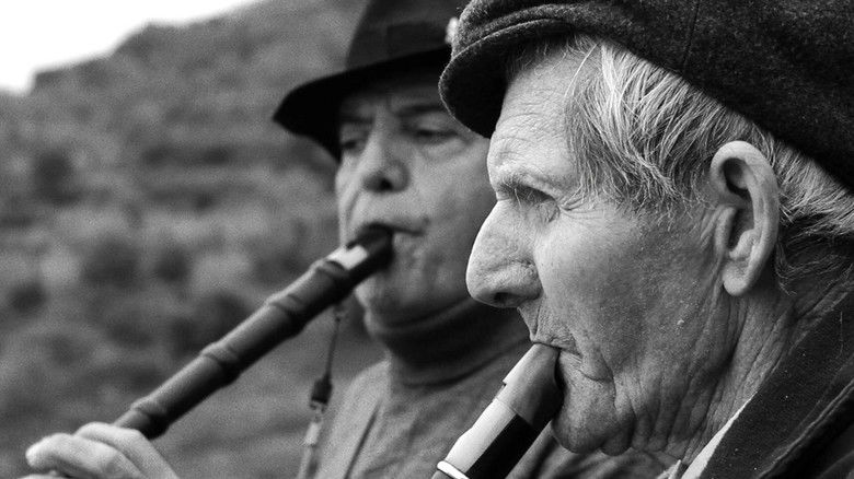 кадр из фильма Pata negra