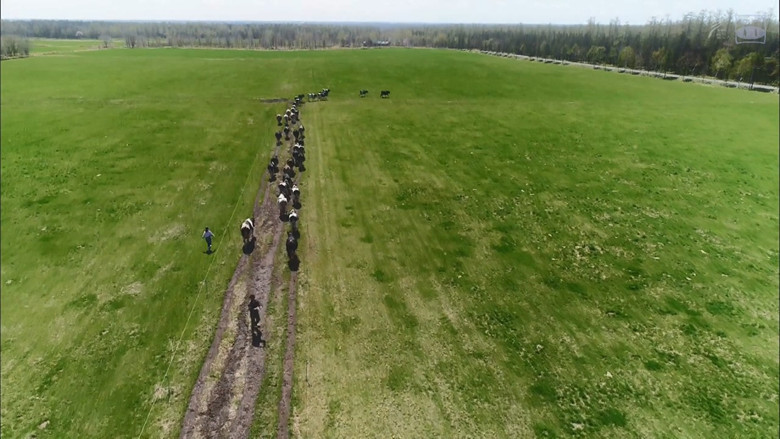 кадр из фильма 遙かなる山の呼び声