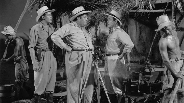 кадр из фильма Danger in the Pacific