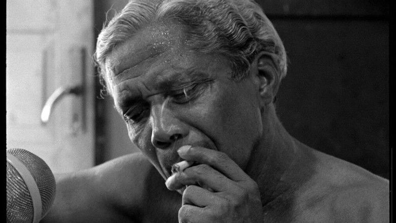 кадр из фильма Nelson Cavaquinho