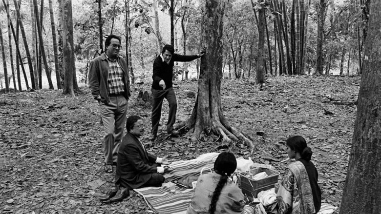 кадр из фильма Ветви одного дерева