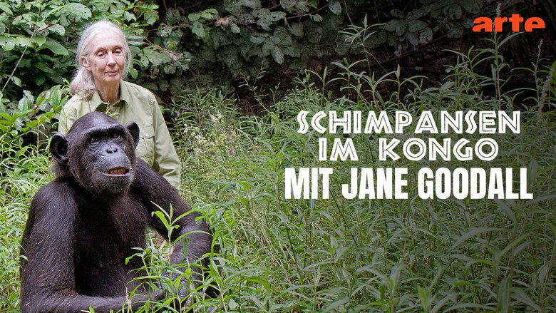 кадр из фильма Schimpansen im Kongo mit Jane Goodall