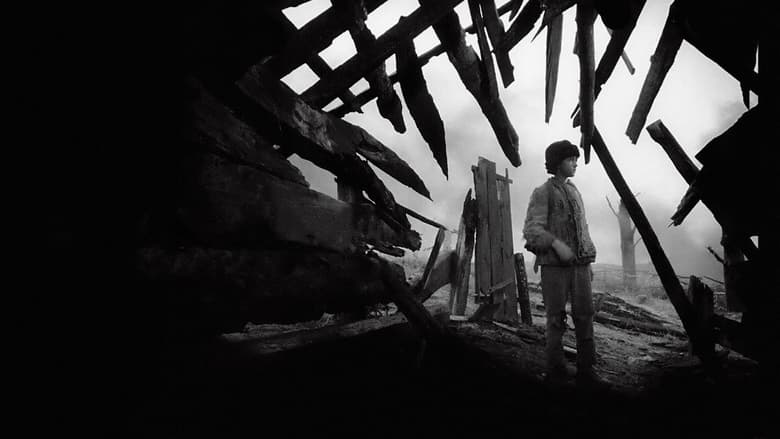 кадр из фильма Иваново детство