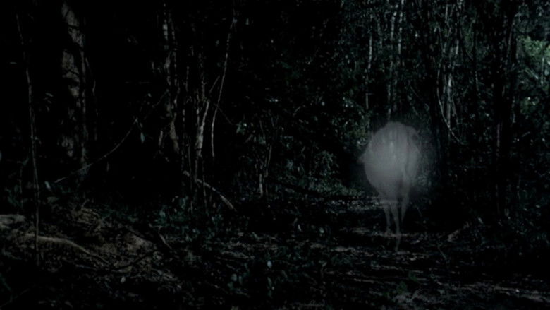 кадр из фильма Тропическая болезнь