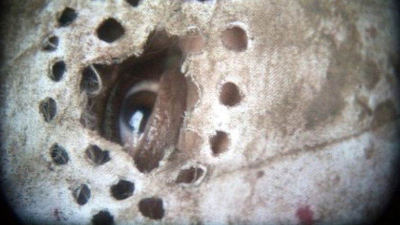 кадр из фильма ذبح خانہ