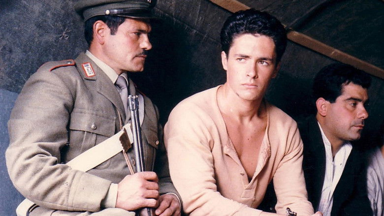 кадр из фильма Disamistade