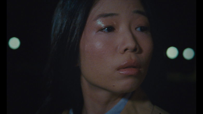 кадр из фильма 月亮总在照顾大地