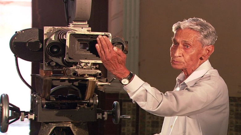 кадр из фильма Light, Shadow, and Me