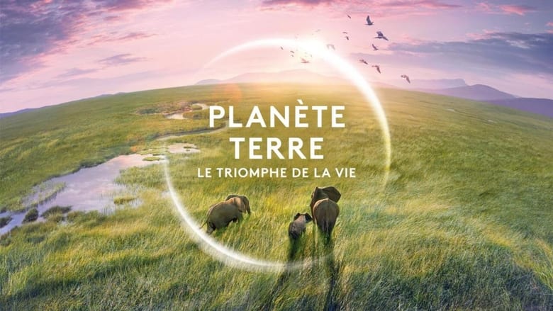 кадр из фильма Planète Terre, le triomphe de la vie