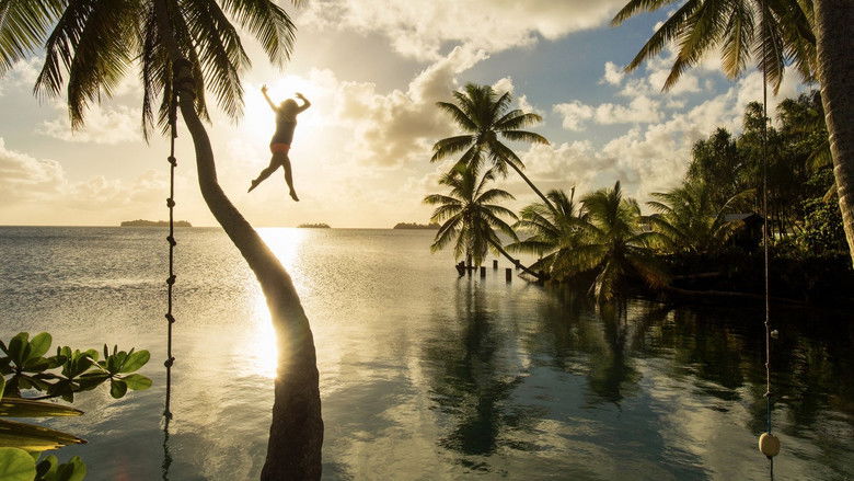 кадр из фильма Ocean Paradise