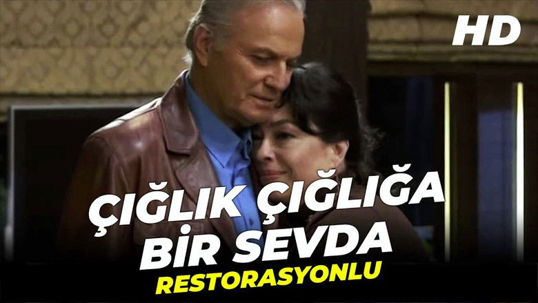 кадр из фильма Çığlık Çığlığa Bir Sevda