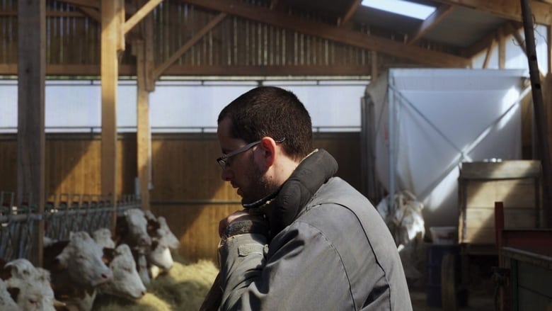 кадр из фильма Cyrille, agriculteur, 30 ans, 20 vaches, du lait, du beurre, des dettes