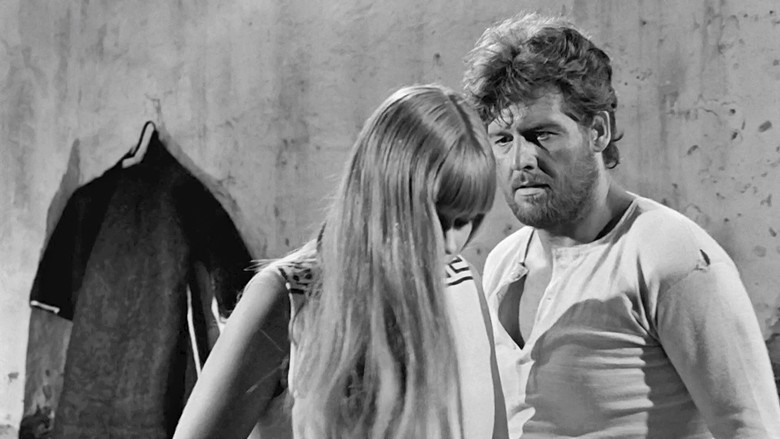 кадр из фильма Девушки под солнцем