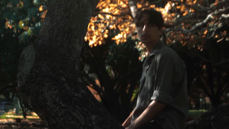 кадр из фильма O Que Me Viu Passar