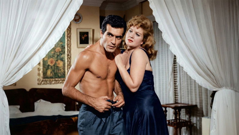 кадр из фильма Süleymaniyeli Ali