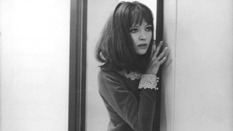 кадр из фильма Альфавиль