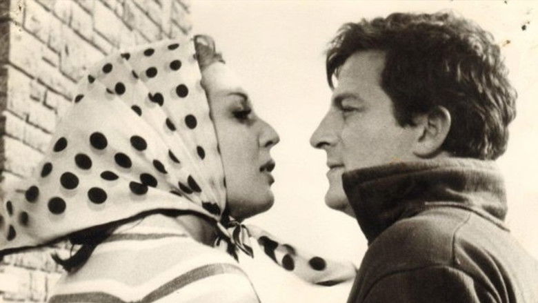 кадр из фильма Dişi Örümcek