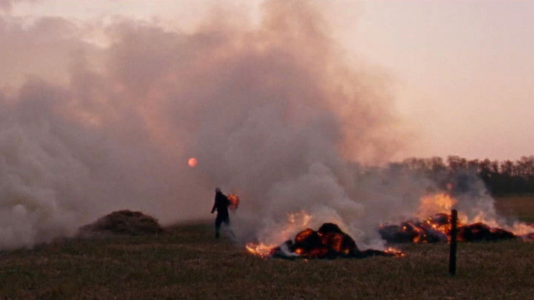 кадр из фильма Rietland