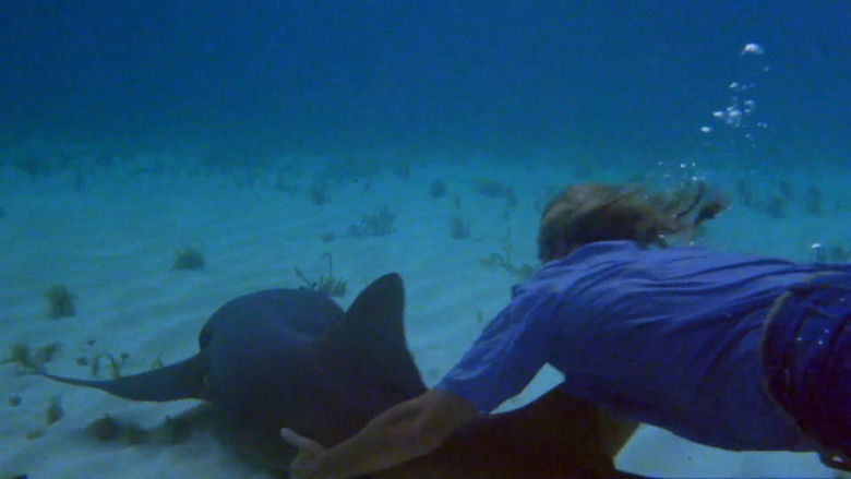 кадр из фильма Охотник на акул