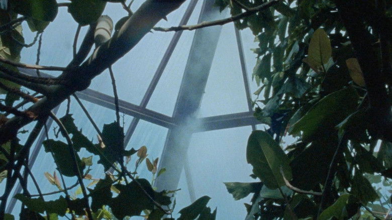 кадр из фильма Nido de Cocodrilo