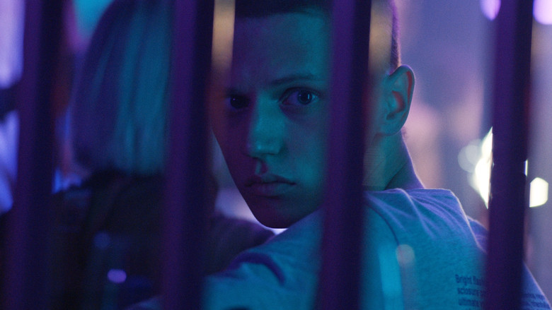 кадр из фильма Тигры