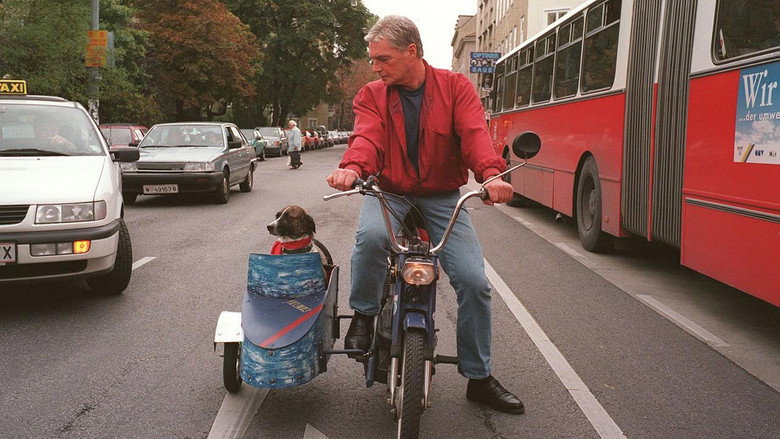 Alltagsgeschichte – Niederhofstraße Untermeidling