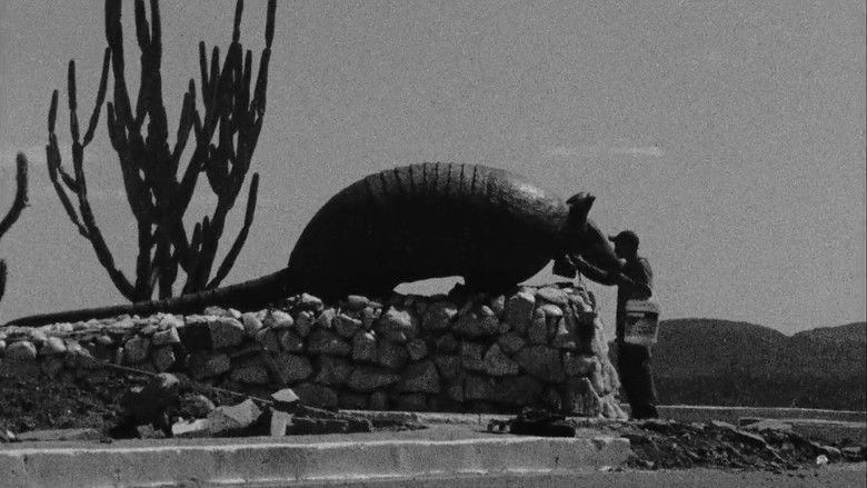 кадр из фильма Sertão, América