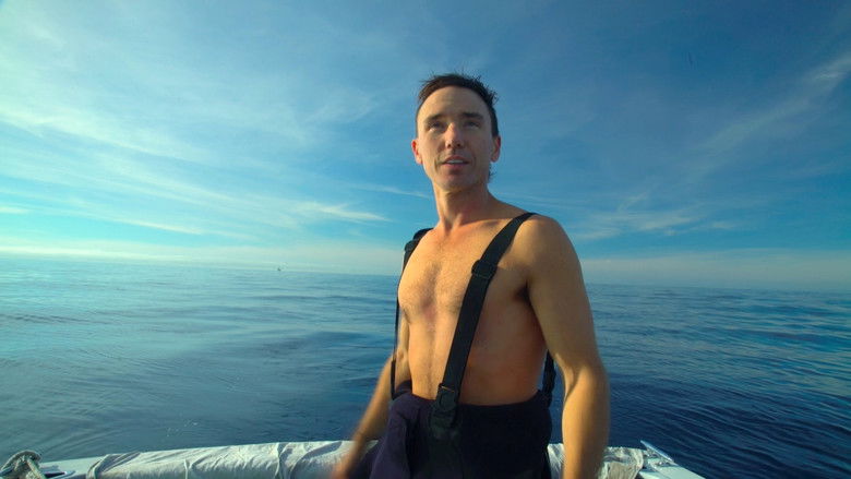 кадр из фильма Sharkwater Extinction