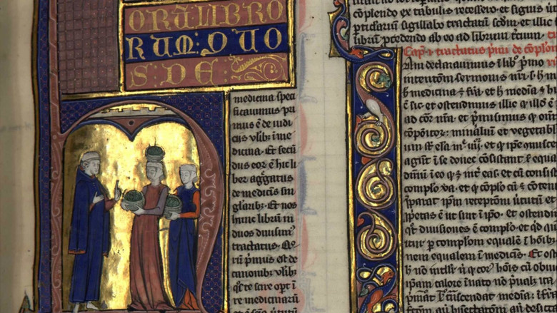 кадр из фильма Les trésors oubliés de la médecine arabe