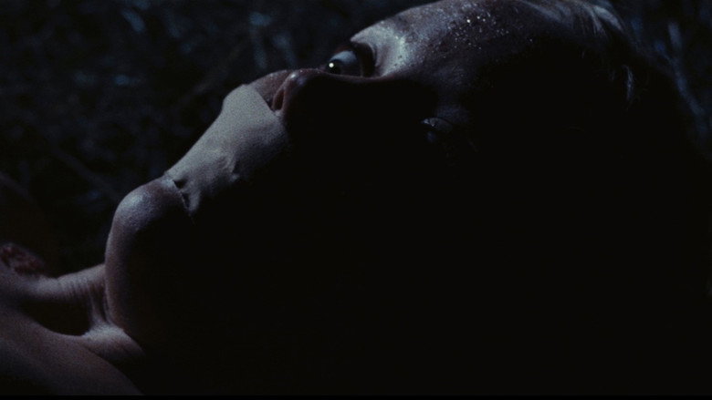 кадр из фильма Что они сделали с Соланж?