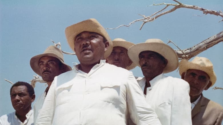 кадр из фильма La Bicicleta