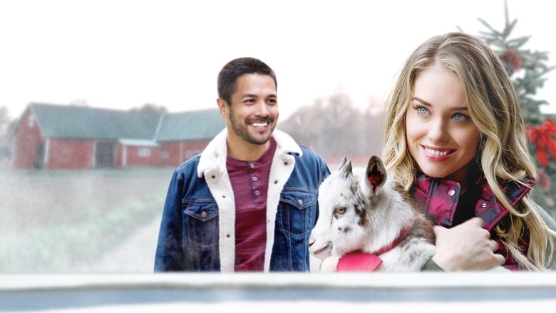 кадр из фильма Рождество одинокой звезды