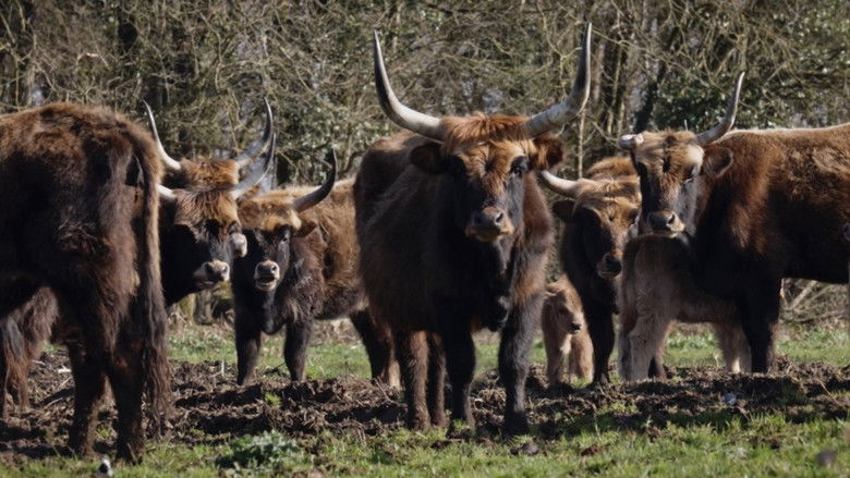 кадр из фильма Dans la peau des premiers paysans français