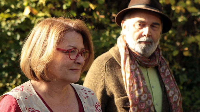 кадр из фильма Мои герои