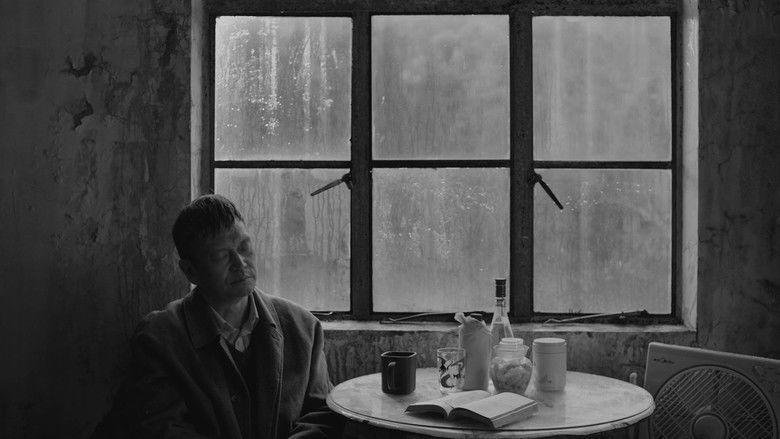 кадр из фильма 伤寒杂病论