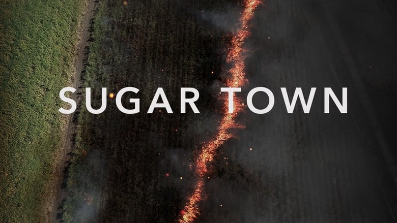 кадр из фильма Sugar Town