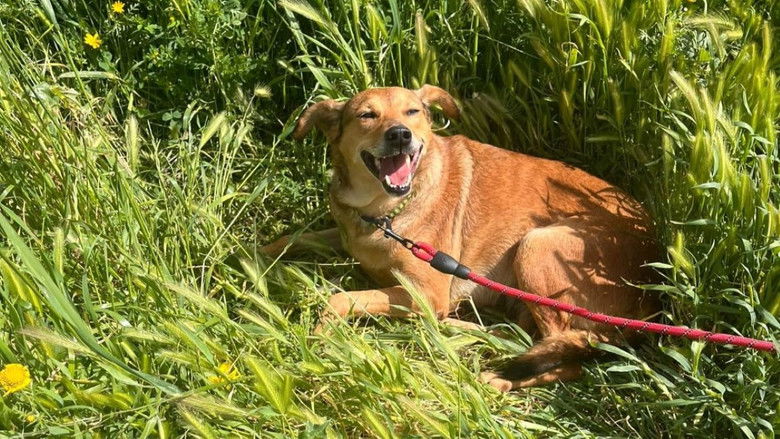 кадр из фильма ואקום