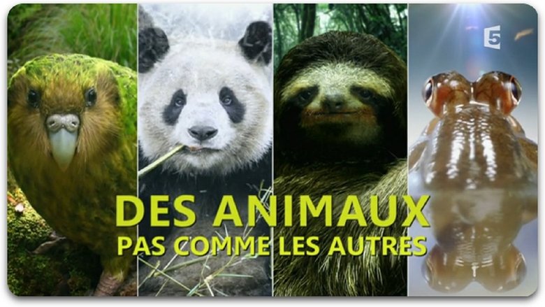 кадр из фильма Des animaux pas comme les autres