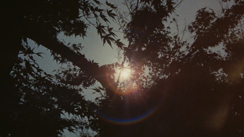 кадр из фильма 山中傳奇