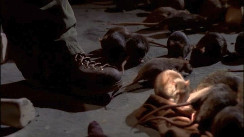 кадр из фильма The Rats