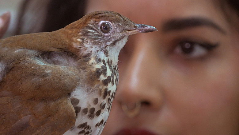 кадр из фильма Through a Glass Eye