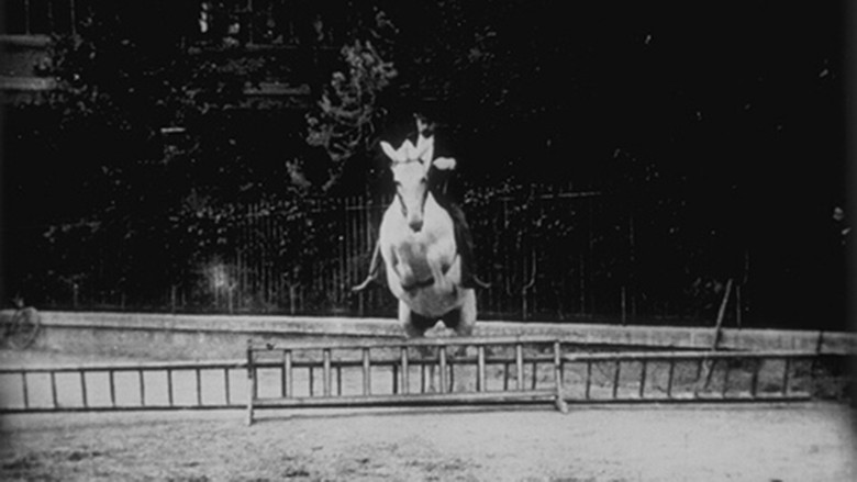 кадр из фильма Cheval sauteur