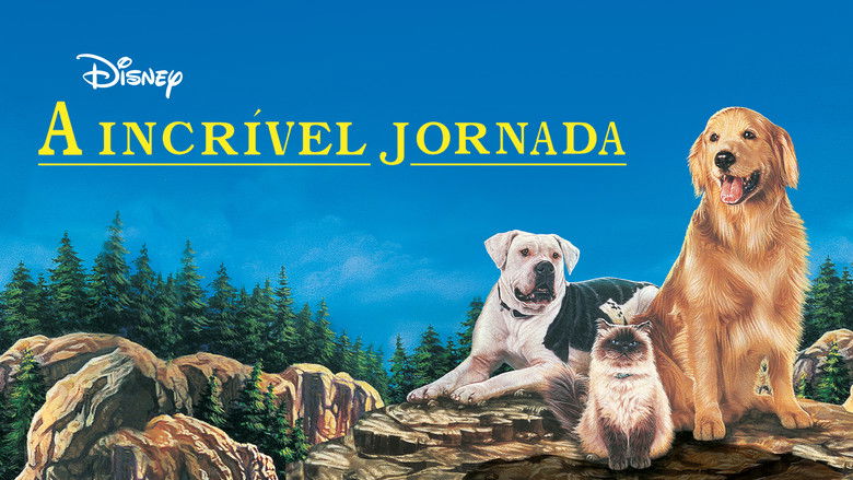 кадр из фильма Дорога домой: Невероятное путешествие