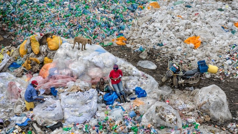 кадр из фильма Антропоцен: Эпоха людей