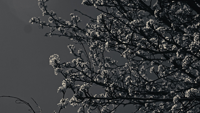 кадр из фильма Battle Angel