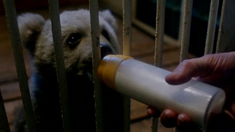 кадр из фильма Близнецы в зоопарке