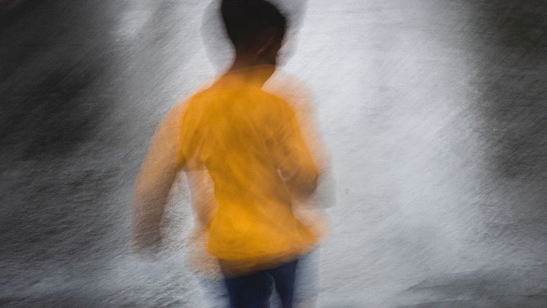 кадр из фильма Vestígio