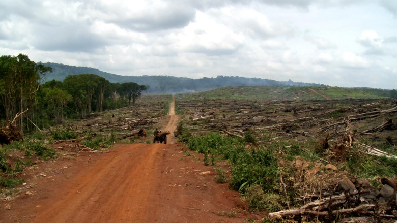 кадр из фильма Mirr