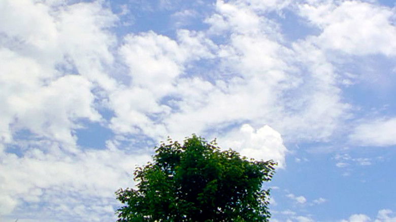 кадр из фильма Tree