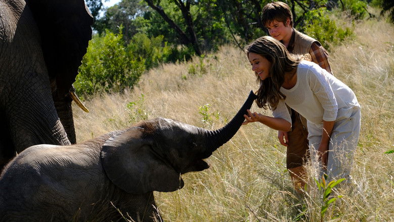 кадр из фильма An Elephant's Journey